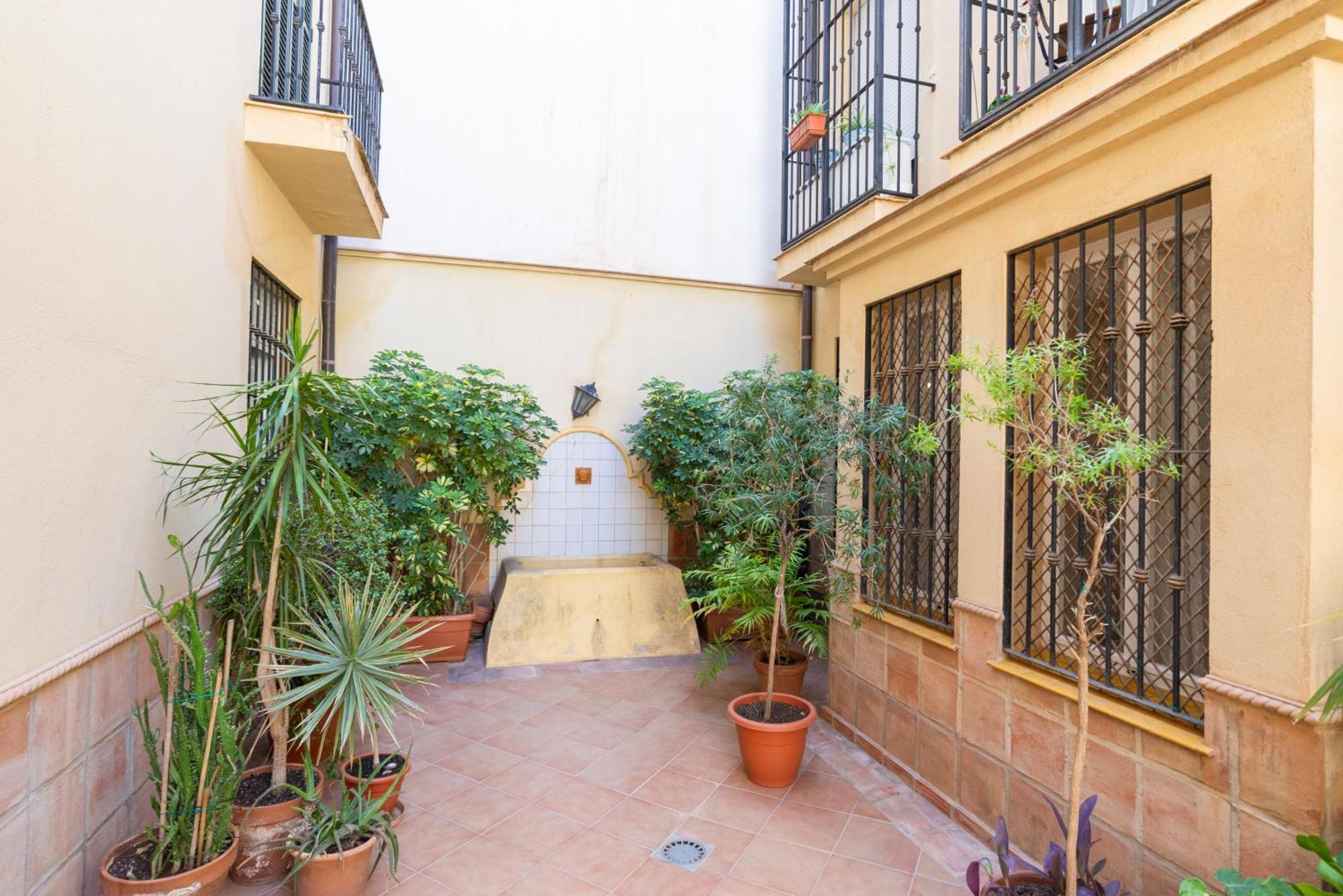 Apartment & Pool In Malaga City Center Dış mekan fotoğraf